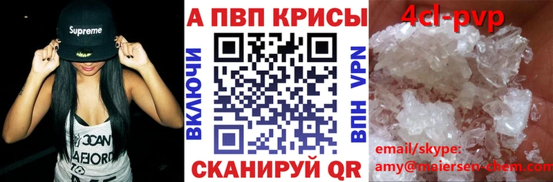 Купить где  Пермь  A PVP крисы CK 