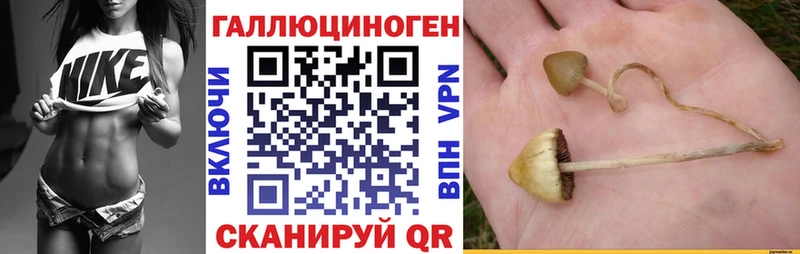 Псилоцибиновые грибы мухоморы  Купить где  Пермь 